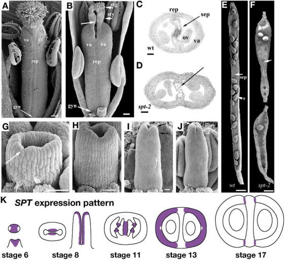 Figure 28.