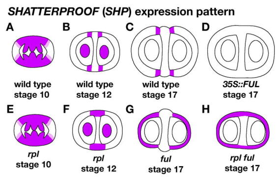 Figure 15.