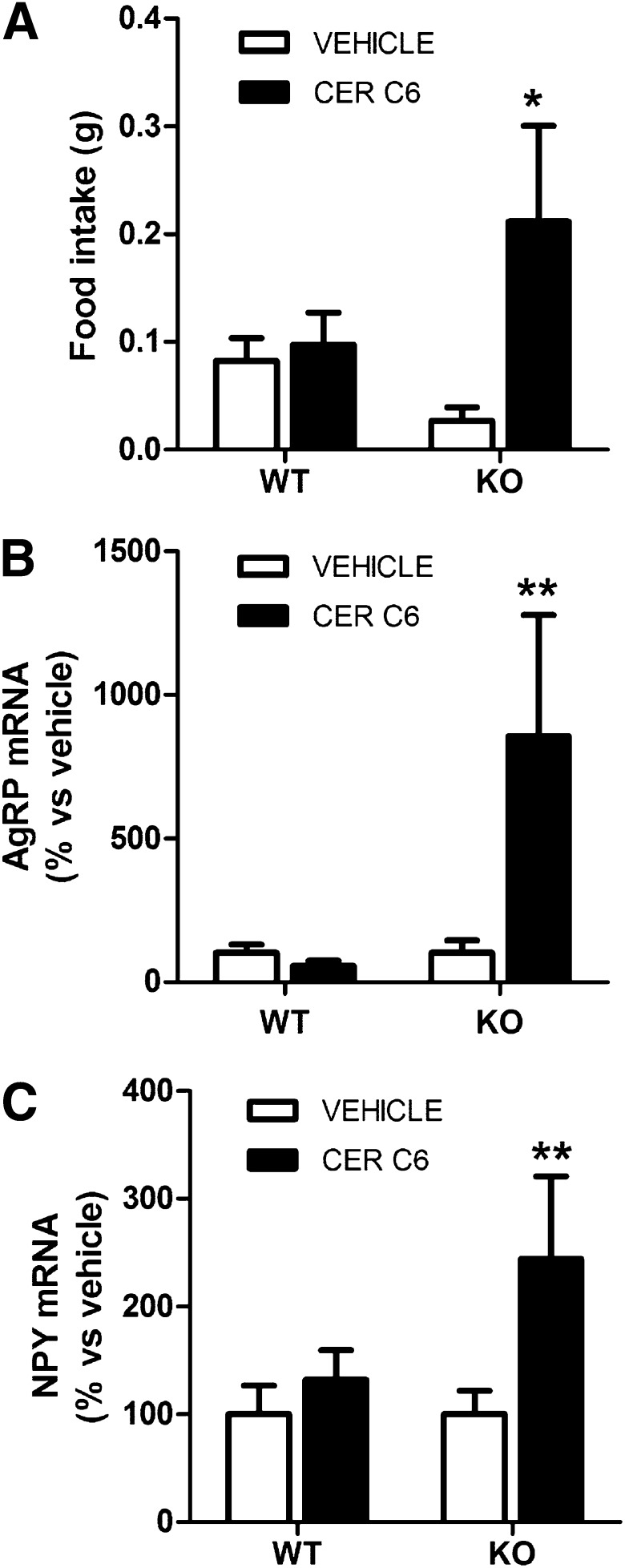 FIG. 5.