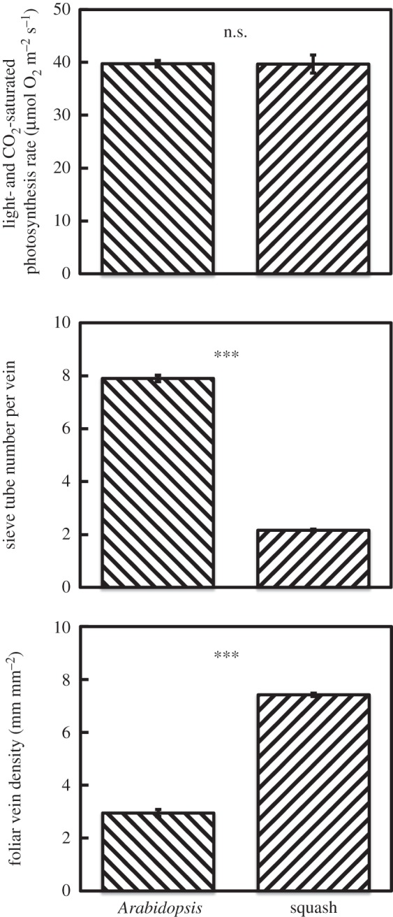 Figure 4.