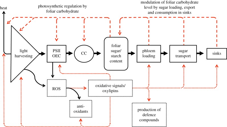 Figure 1.