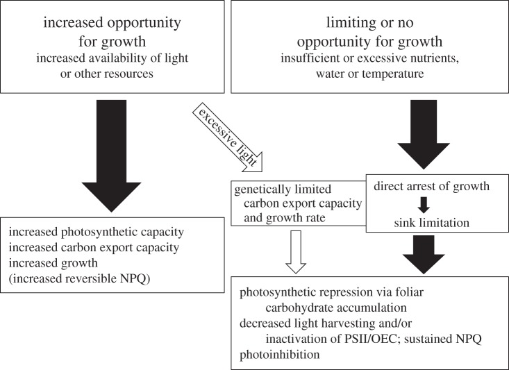 Figure 2.