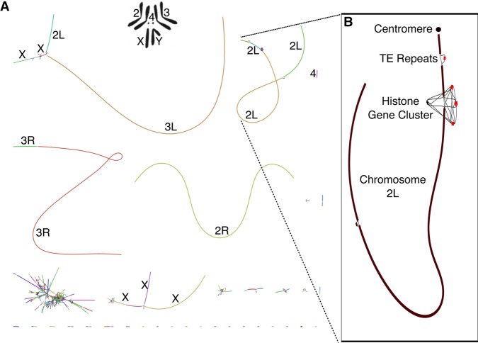 Figure 3.