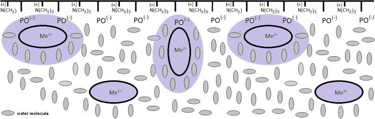 Fig. 4