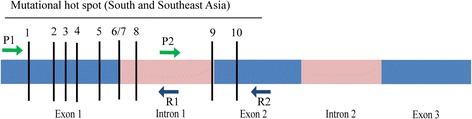 Fig. 1