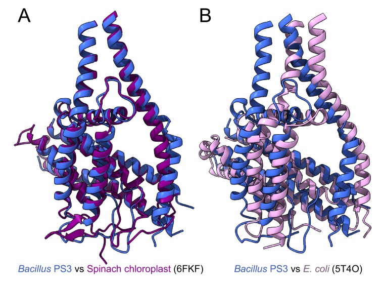 Figure 1—figure supplement 5.