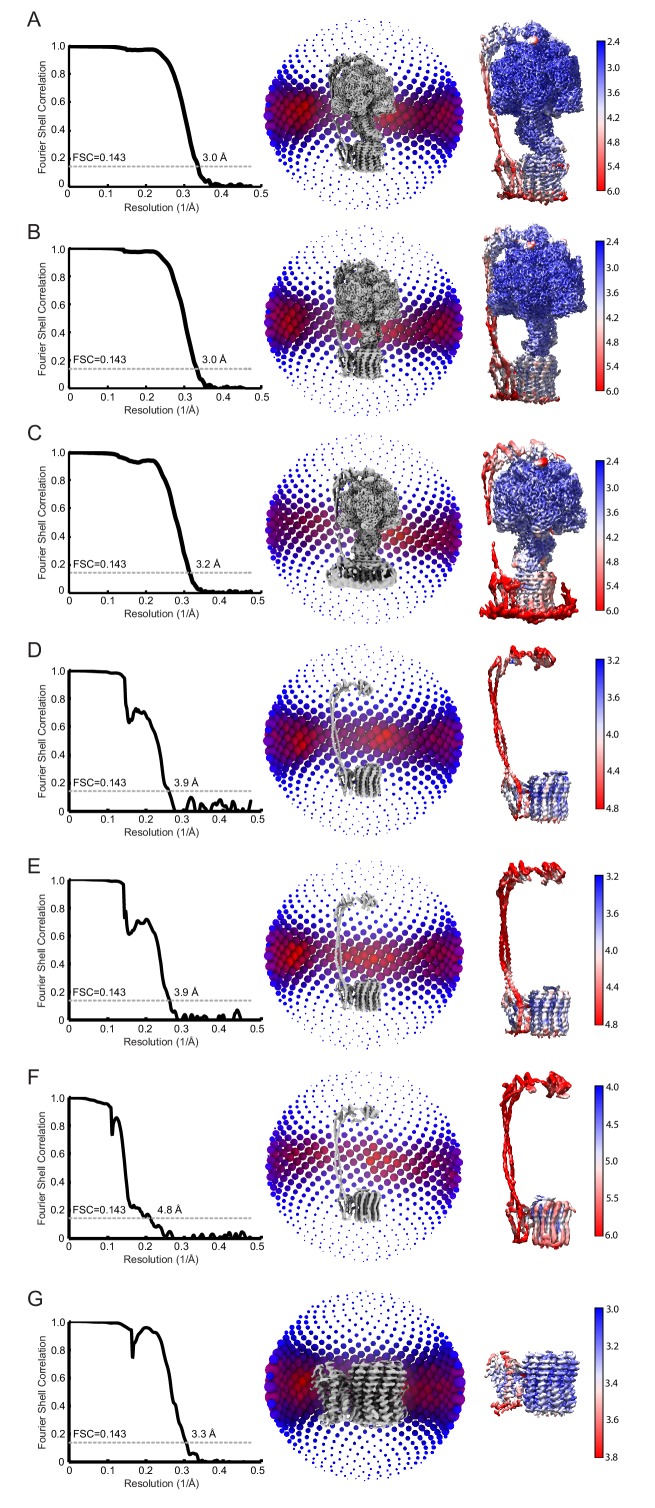 Figure 1—figure supplement 3.