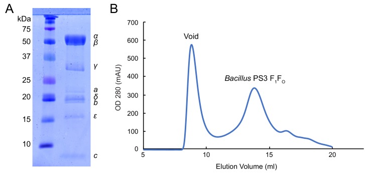 Figure 1—figure supplement 1.