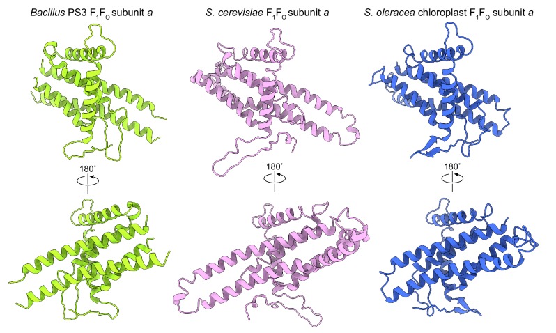 Figure 4—figure supplement 1.