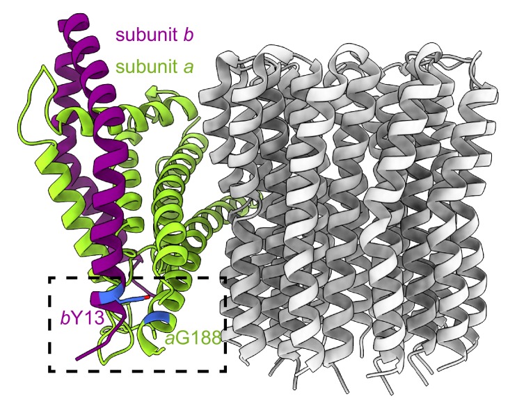 Figure 4—figure supplement 3.