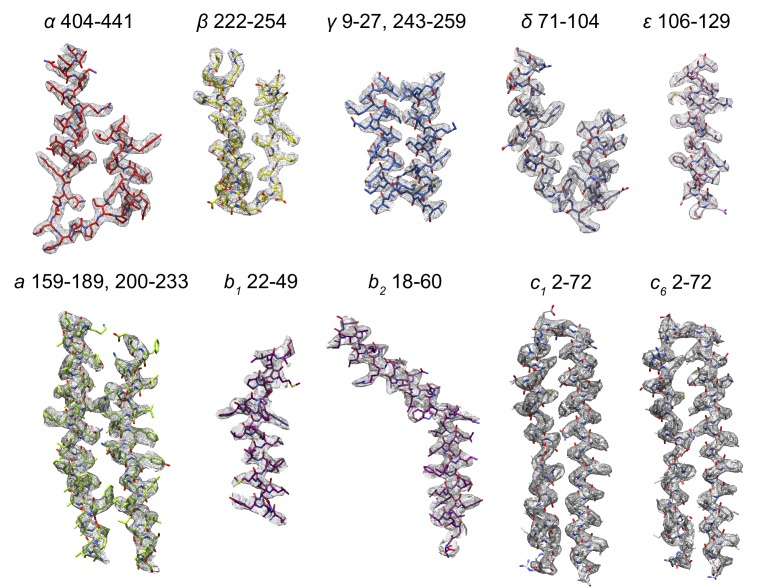 Figure 1—figure supplement 4.