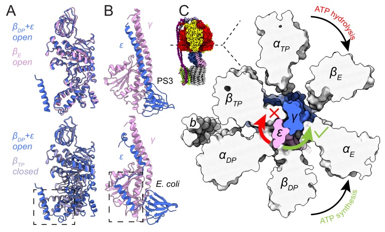 Figure 3.