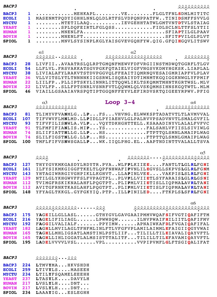 Figure 4—figure supplement 2.