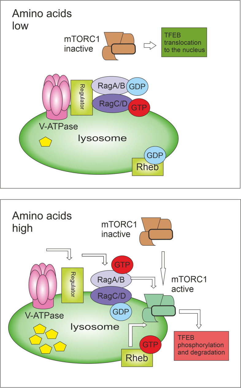 Fig. 2