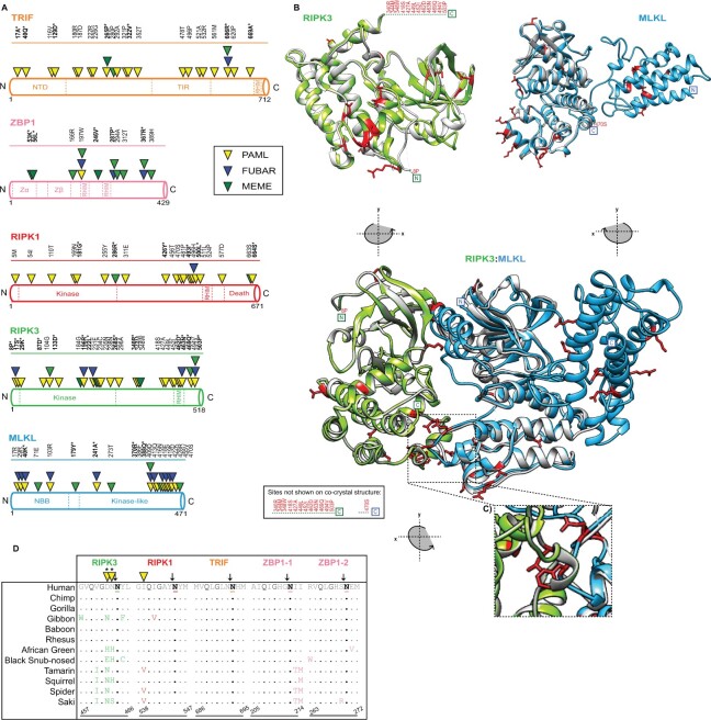 Fig. 3.