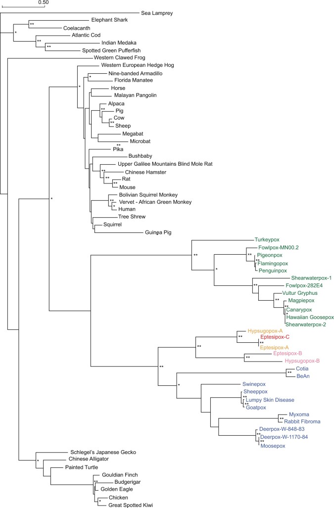 Fig. 7.