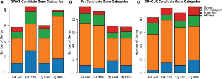 FIGURE 3