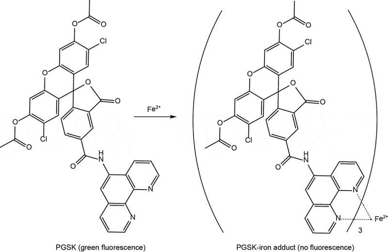 Figure 12.