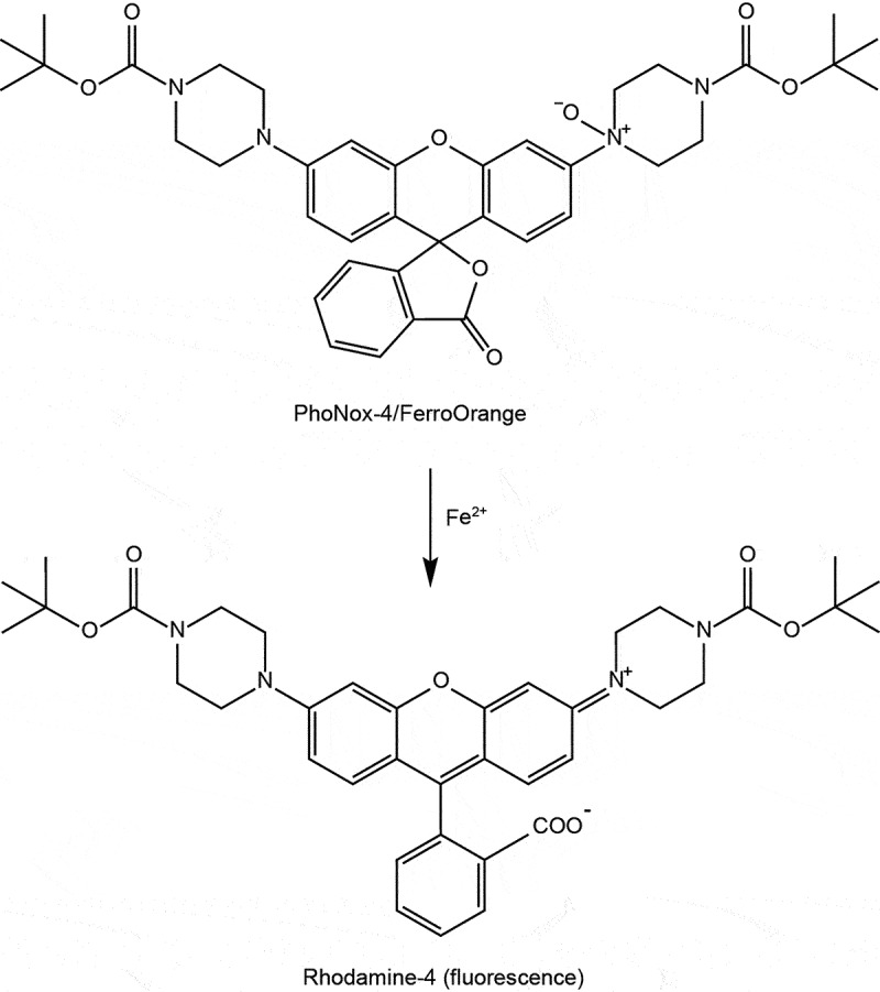 Figure 11.