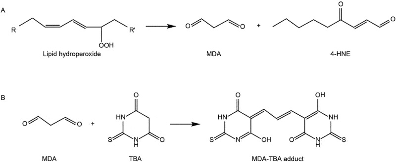 Figure 9.