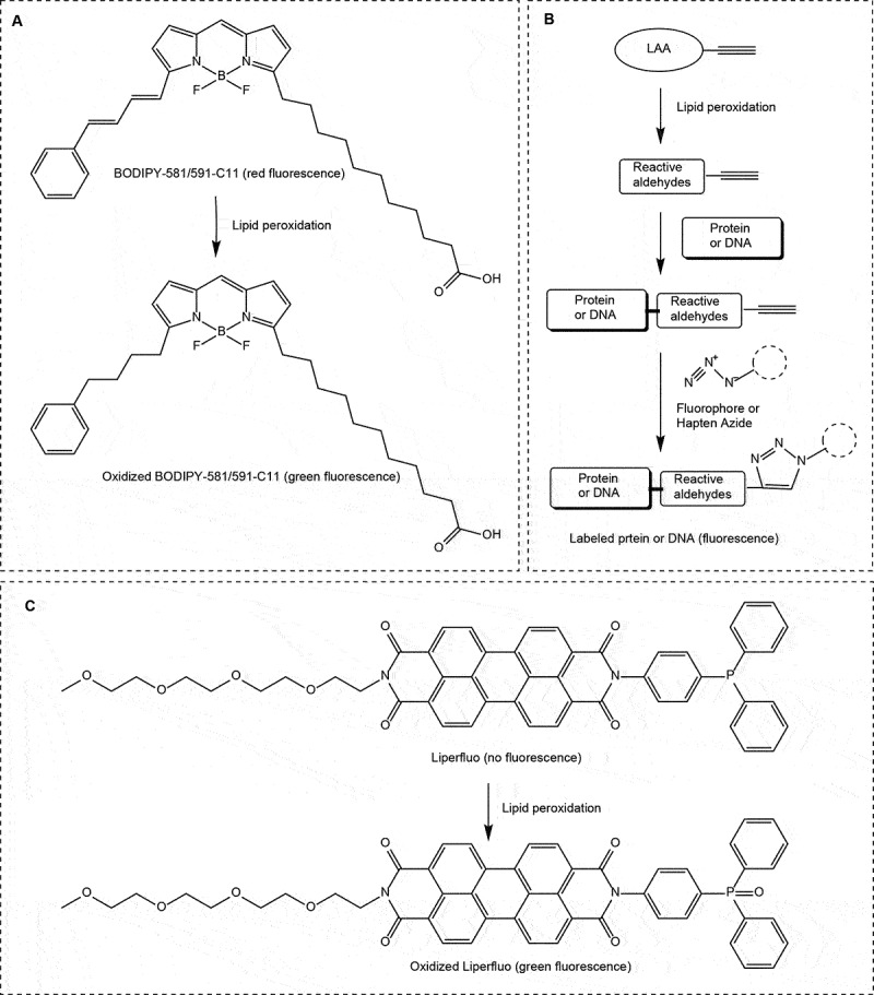 Figure 10.