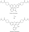 Figure 11.