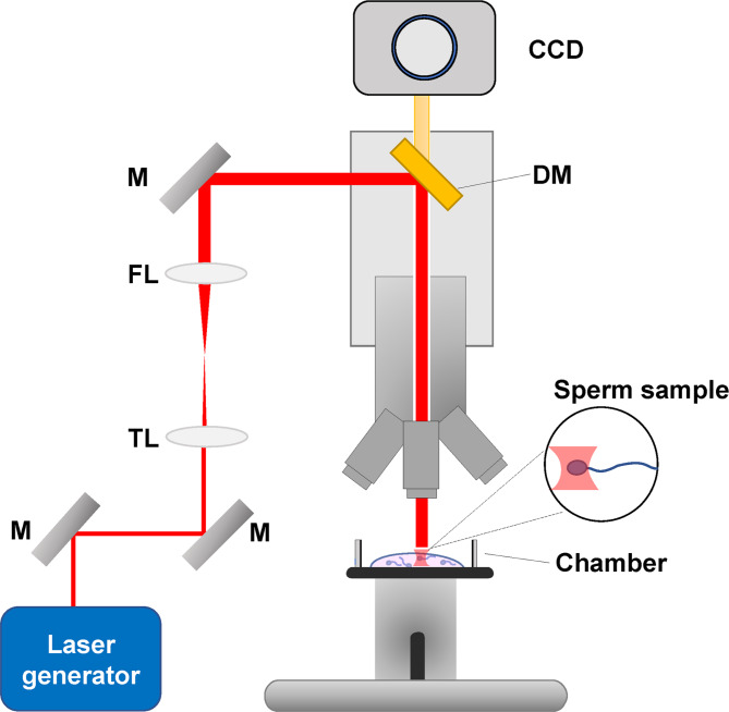 Fig. 2