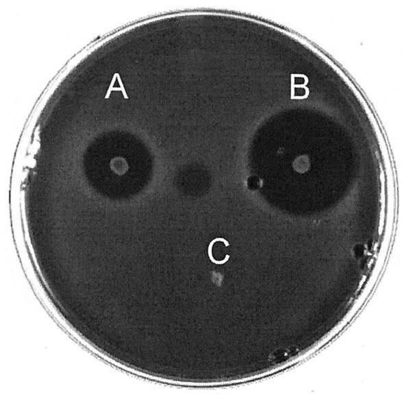 FIG. 5.