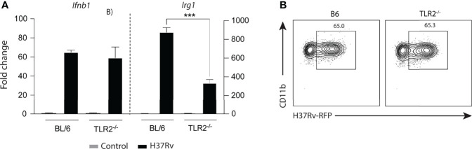 Figure 6