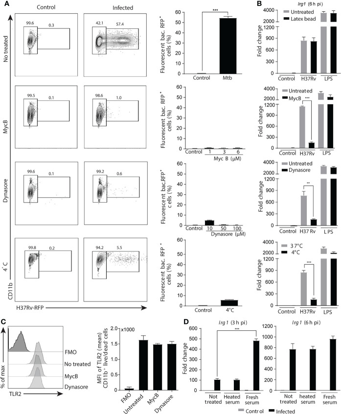 Figure 3