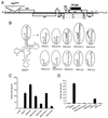 FIG. 1