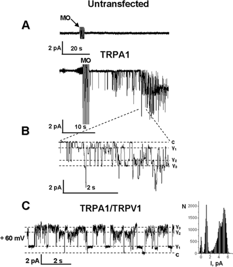 FIGURE 4.