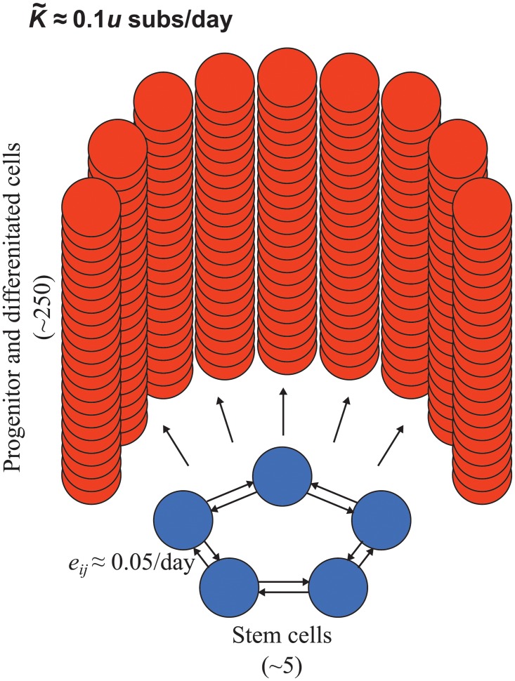 Fig 7