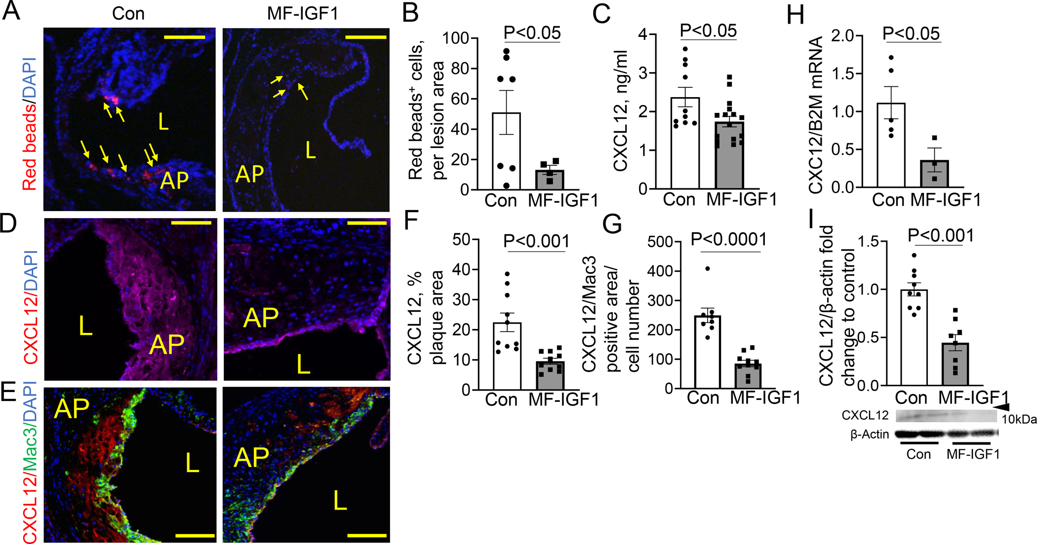 Figure 4: