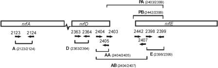 FIG. 4.