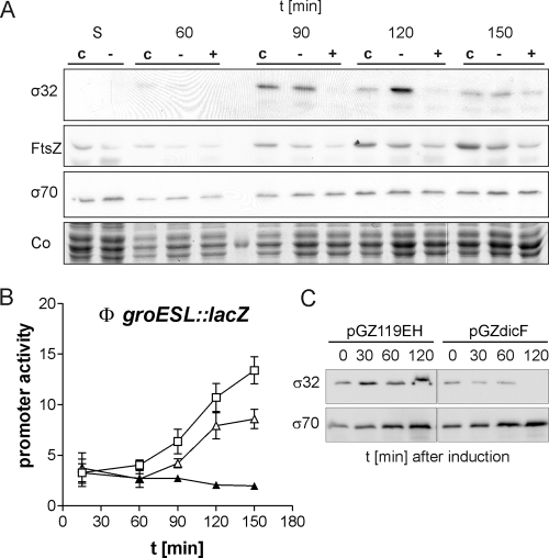 FIG. 7.