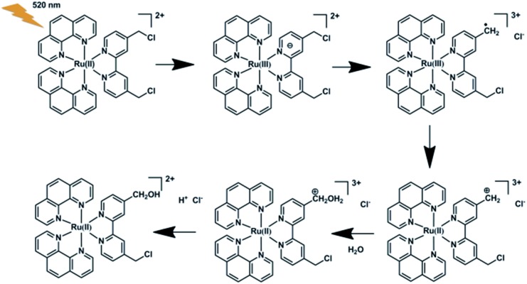 Scheme 2