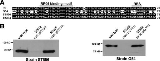 FIG. 7.