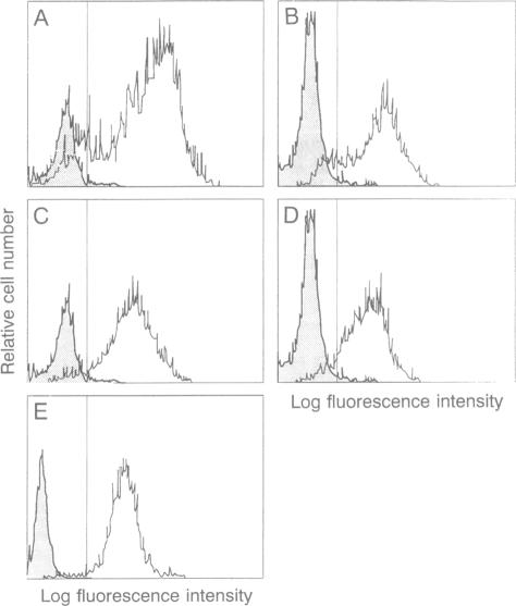 graphic file with name pnas01073-0255-b.jpg