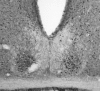Figure 9.