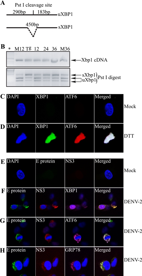 FIGURE 4.