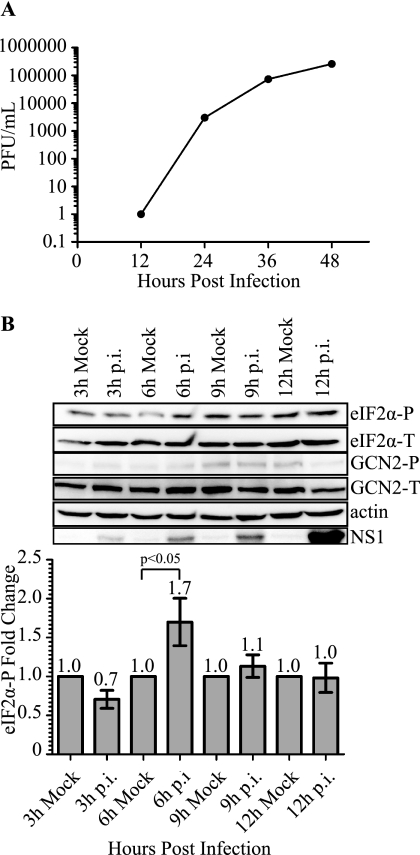 FIGURE 1.