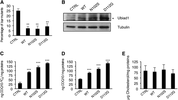 Figure 5