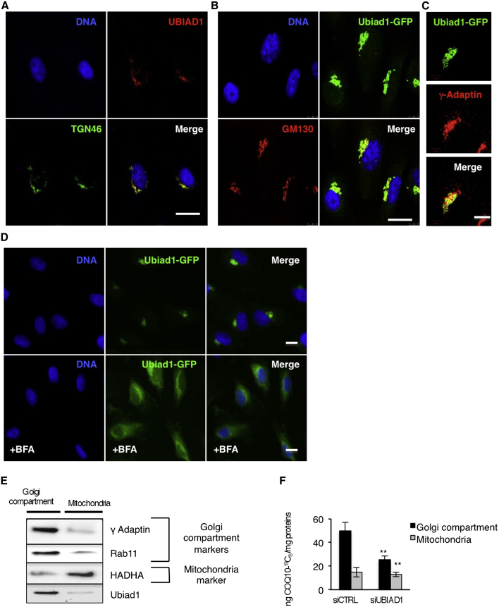 Figure 4