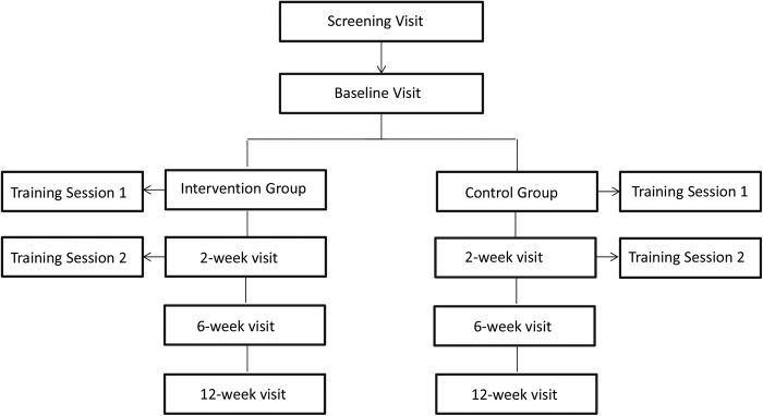 Figure 1