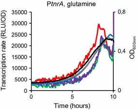 Fig. 1