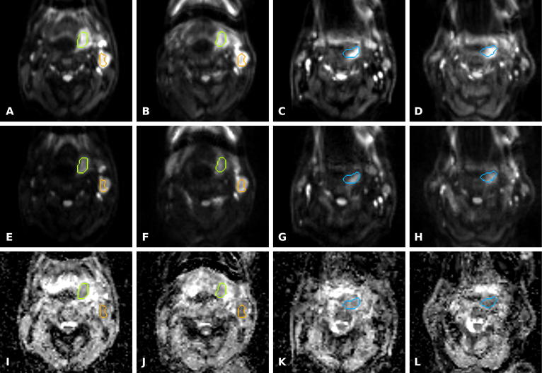 Supplementary Fig. 3