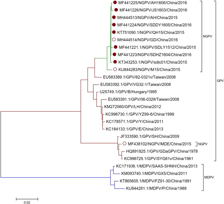 Fig. 4