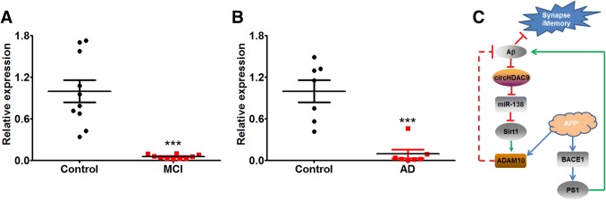 Fig. 8