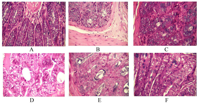 Fig. (2)